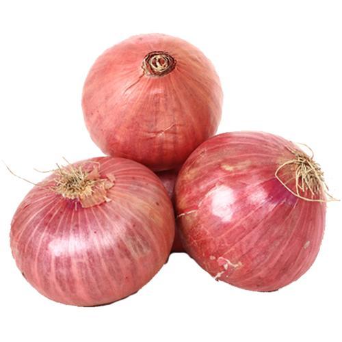 Onion continue selling out of stock