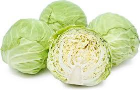 Cabbage